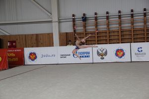 Гимнастика