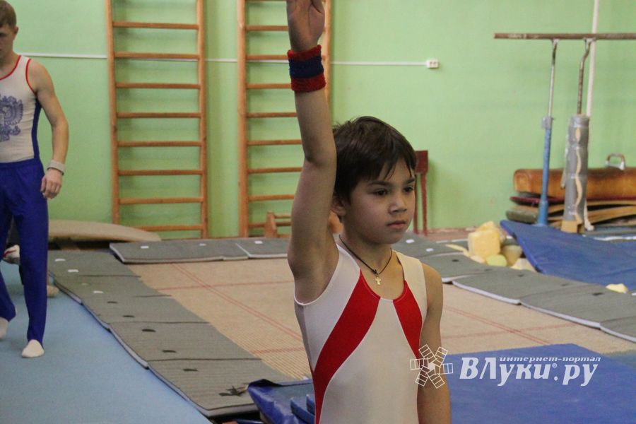 В Великих Луках состоялось Первенство города по спортивной гимнастике (фото)