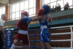 В Великих Луках прошел турнир по боксу памяти Е. Клевцова (ФОТО)