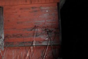 Первая зачетная игра федерального проекта Дозор Лайт