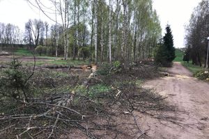 В будущем Петровском парке завершается очередной этап работ (ФОТО)