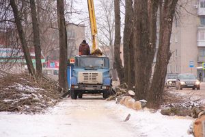 Одни ещё обрезают, а другие уже жалуются губернатору (ФОТО)