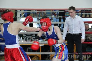 Открытое Первенство города по боксу
