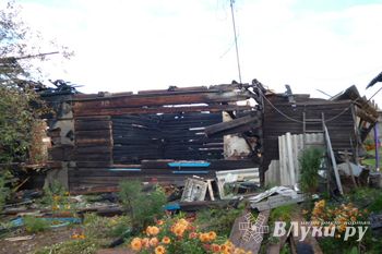 В Локне на пожаре погиб человек (фото)