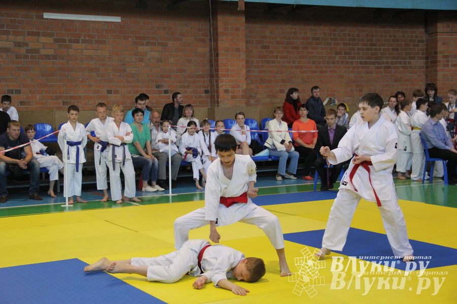 Великолучане стали победителями турнира по каратэ «Неприкосновенный запас, дети — Отчизны 2015» (фото)