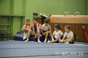 В Великих Луках состоялось  Первенство города по спортивной гимнастике (фото)