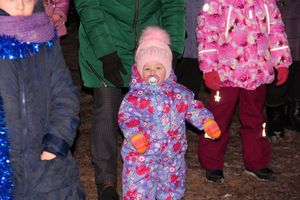 В Великих Луках зажгли Ёлку (ФОТО)