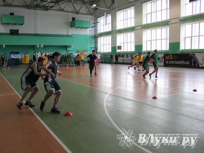 В Великих Луках прошли соревнования на Кубок Красного Креста