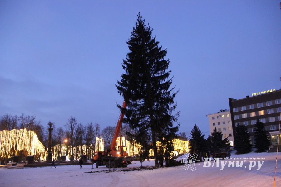 Новогодняя ёлочка приехала наконец в Великие Луки (ФОТО)