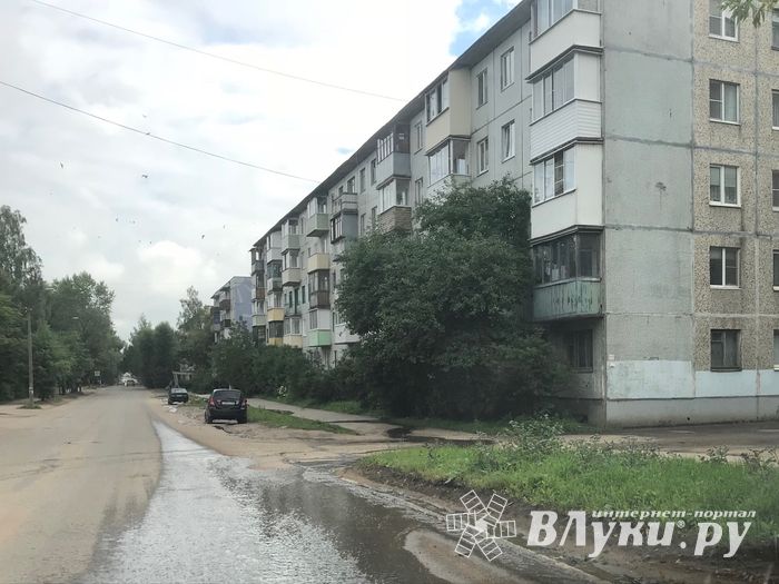 Предприятие в Великих Луках сливает на дорогу (ФОТО)