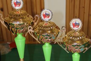 Великолучане одержали победу в зональном этапе «Папа, мама, я – спортивная семья» (ФОТО)