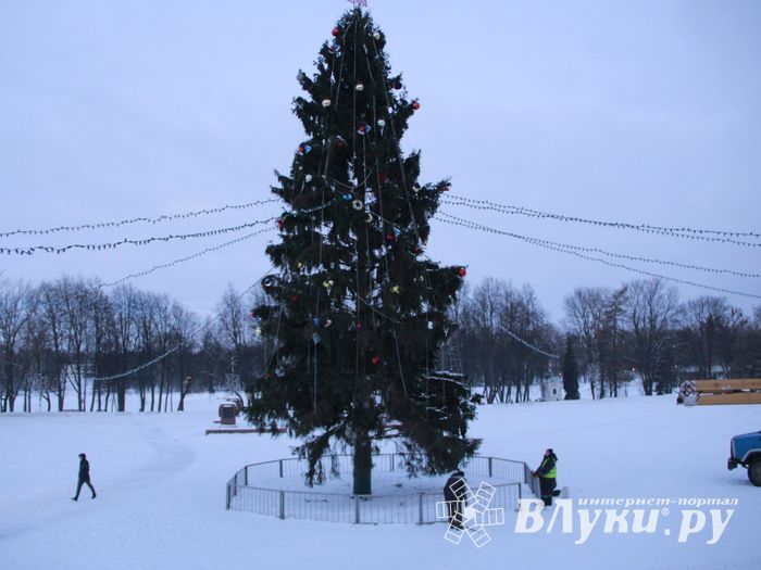 В Великих Луках приступили к демонтажу новогодней ёлки (ФОТО)