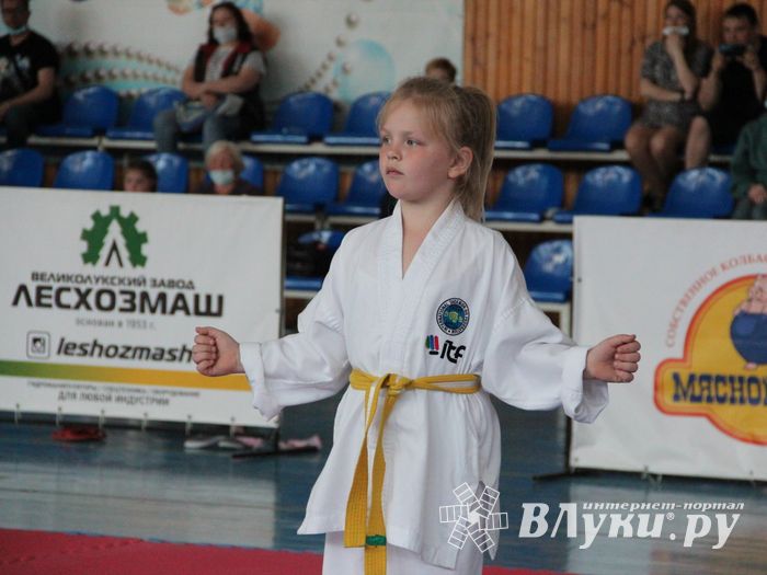 В Великих Луках состоялся Чемпионат и первенство Псковской области по тхэквондо МФТ (ФОТО)