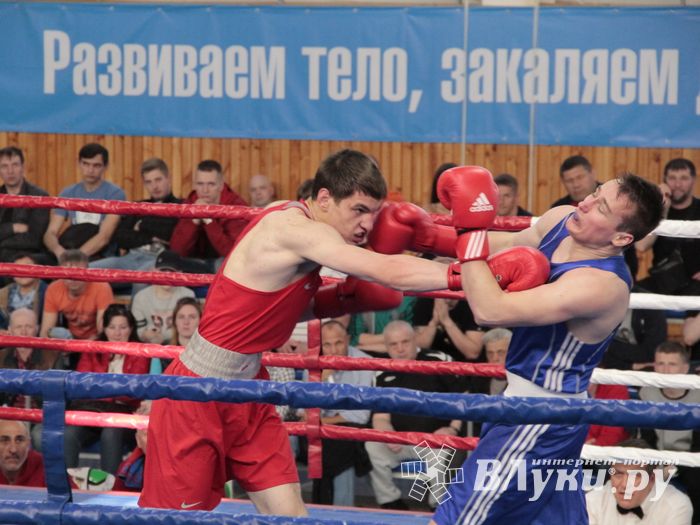 Матчевая встреча по боксу Великие Луки —Псков — Грозный (ФОТО)
