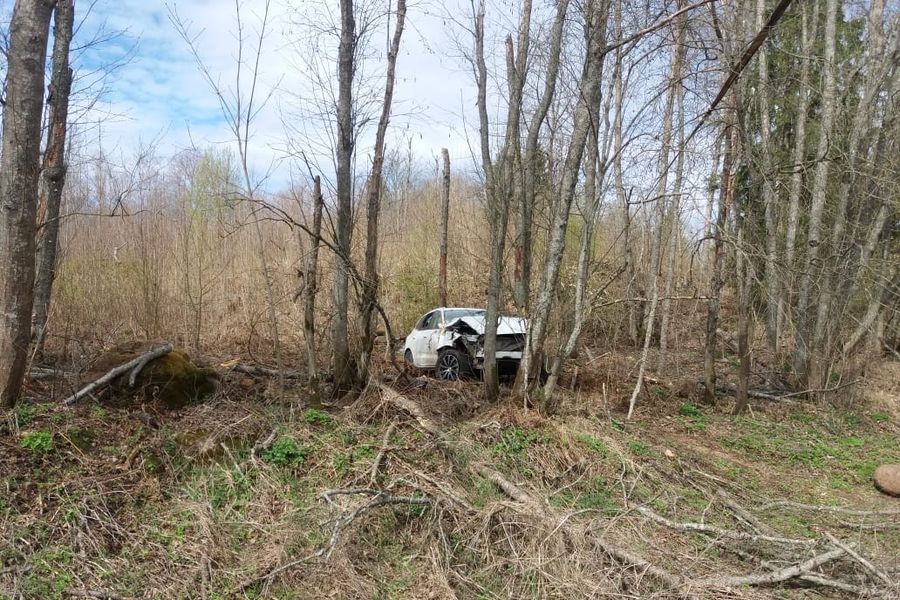 ДТП с пострадавшими в Великолукском районе (ФОТО)