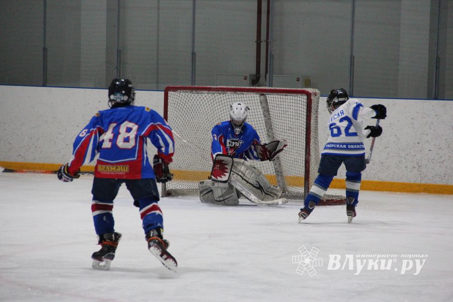 В Великих Луках прошел детский Открытый турнир по хоккею (ФОТО)