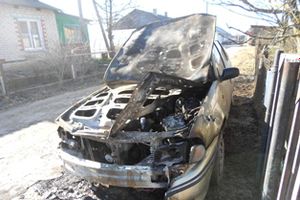 В Псковской области сгорел автомобиль (ФОТО)