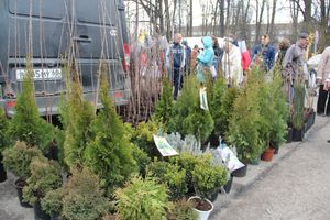 В Великих Луках прошла универсальная ярмарка «Весна-2019» (ФОТО)