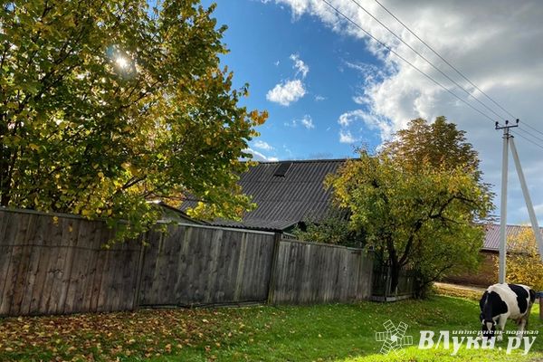 Молодые управленцы Псковской области могут поучаствовать во Всероссийском конкурсе «Лидеры села»