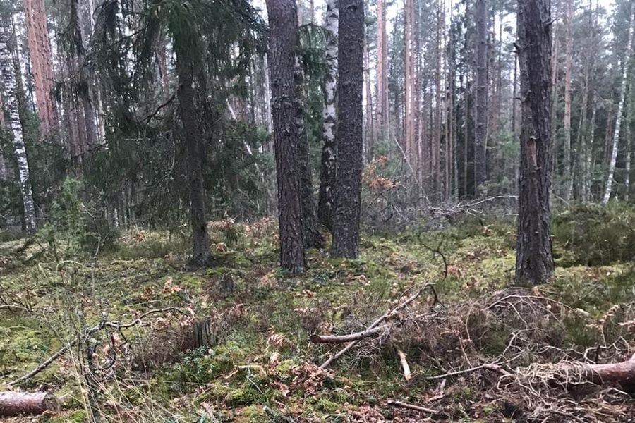Великолукская семья навела порядок в Сенчитах (ФОТО)