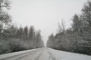 © ВЛуки.ру