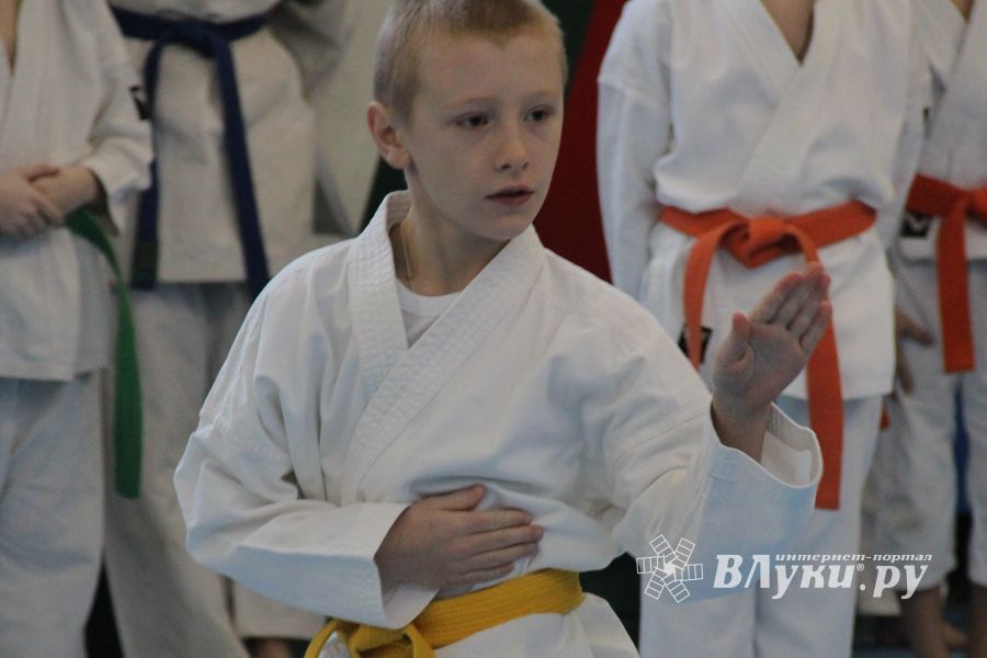 В Великих Луках прошел Открытый чемпионат Псковской области по каратэ