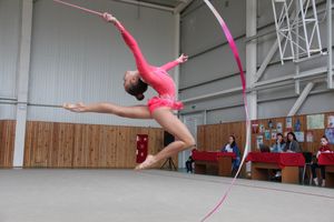 В Великих Луках прошли соревнования по по художественной гимнастике (ФОТО)