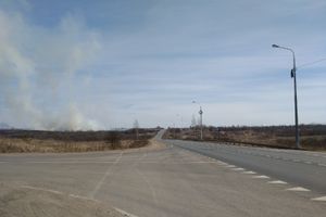 Почти 60 палов травы тушили пожарные Псковской области (ФОТО)