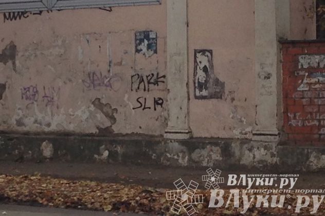 В Великих Луках предлагают штрафовать «уличных художников» на 50 тыс рублей (фото)