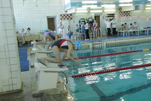 В Великих Луках прошел Чемпионат и Кубок города по плаванию (фото)