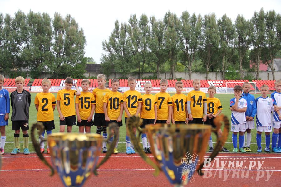 В Великих Луках состоялся Всероссийский турнир «Загрузи себя футболом» (фото)
