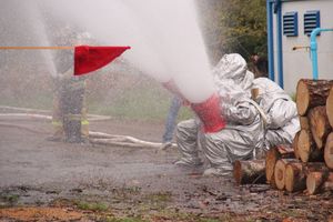 В Великих Луках тушили поезд (ФОТО)
