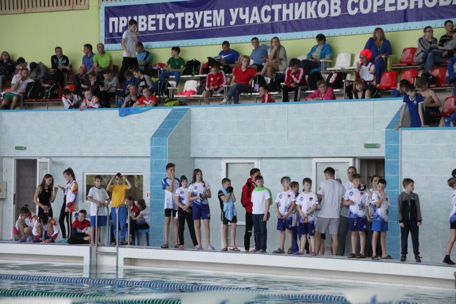 Великолукские пловци привезли награды с международных соревнований (ФОТО)