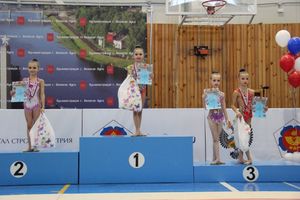 ​В Великих Луках прошли соревнования по художественной гимнастике (ФОТО)