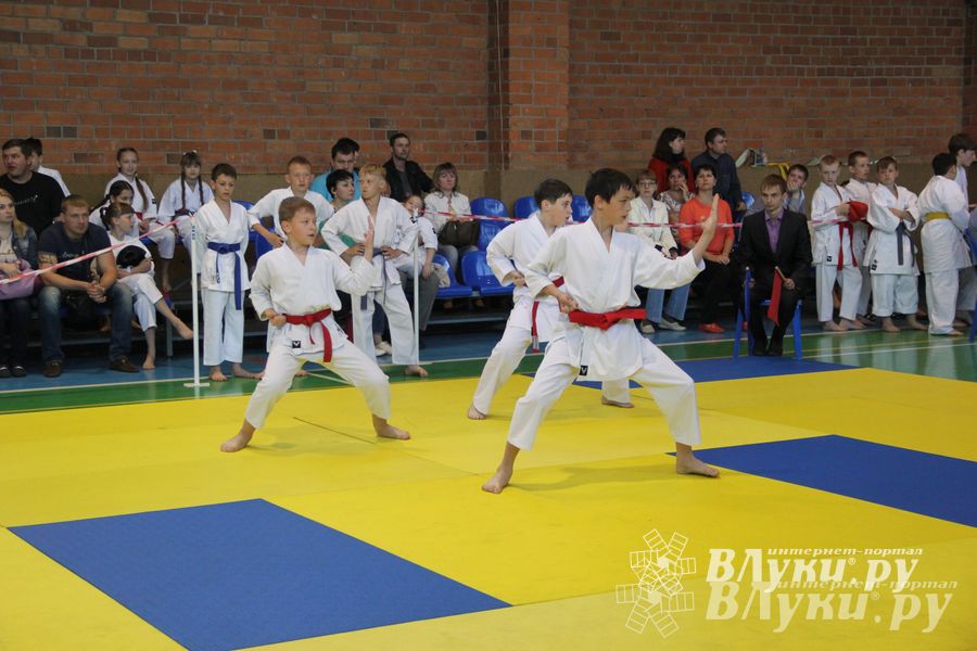 Великолучане стали победителями турнира по каратэ «Неприкосновенный запас, дети — Отчизны 2015» (фото)