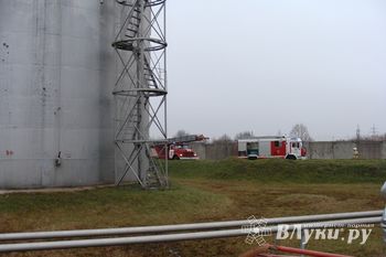 В Острове прошли пожарно-тактические учения (фото)