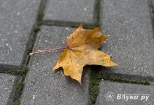 Прогноз погоды на 24 сентября в Великих Луках