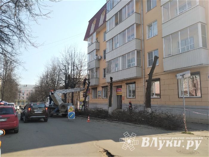 На Пионерской пилят деревья (ФОТО)