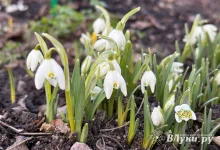 Сегодня великолучанам обещают переменную облачность