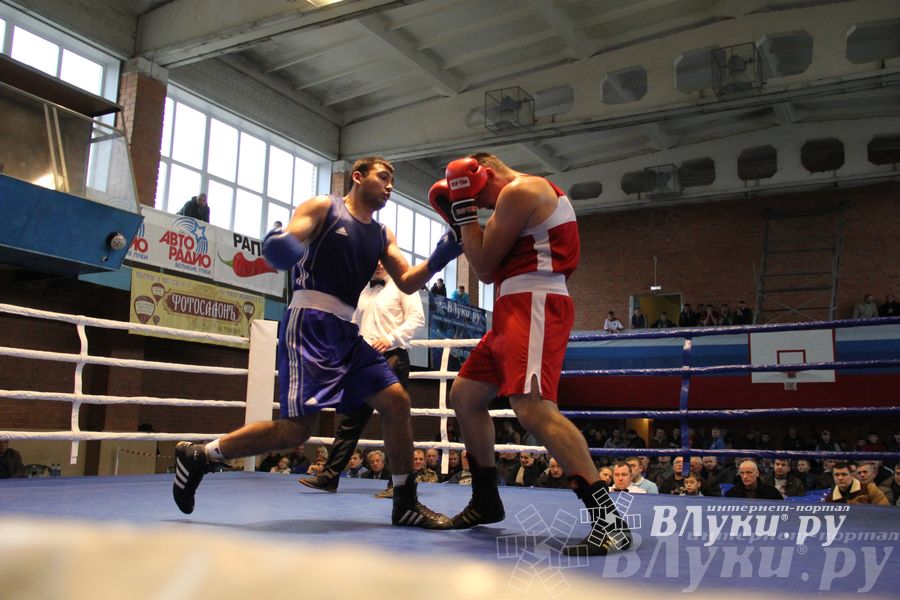 16-й Международный турнир по боксу (фото)