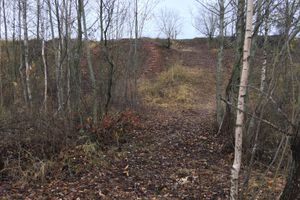 Переслегинские ребята сгибают «Подкову» (ФОТО)