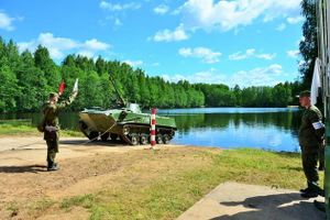 Фото с сайта pskov.kp.ru