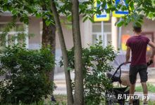 Почти 200 отцов в Псковской области получают пособие по уходу за ребенком