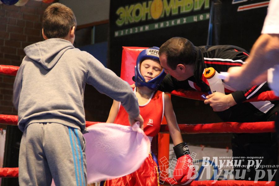 Открытие 16-го  Международного турнира по боксу