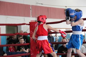 В Великих Луках прошло Первенство города по боксу (ФОТО)