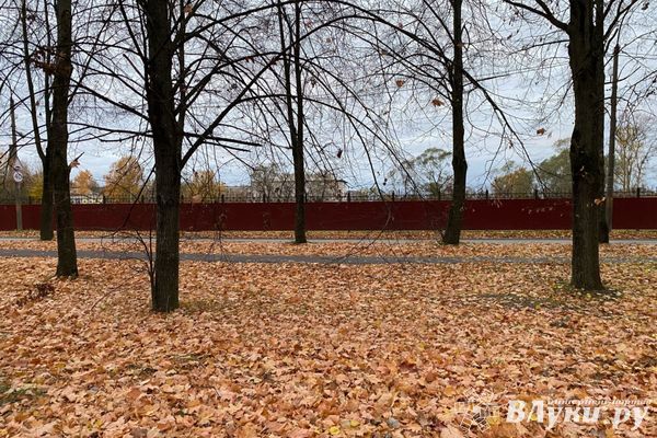 Прогноз погоды на 3 ноября в Великих Луках