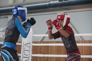 В Великих Луках завершилось Первенство России среди юношей по смешанному боевому единоборству ММА (ФОТО)