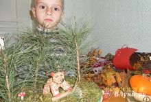 В детском саду №14 прошла выставка поделок «Дары леса» (фото)