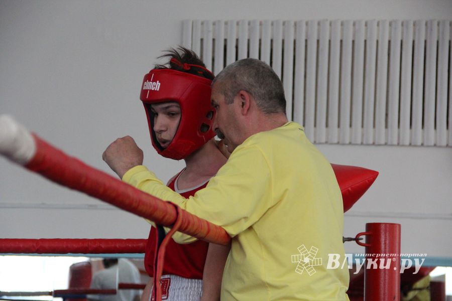 В Великих Луках завершился открытый турнир по боксу (ФОТО)