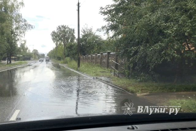 Луки в лужах (ФОТО)